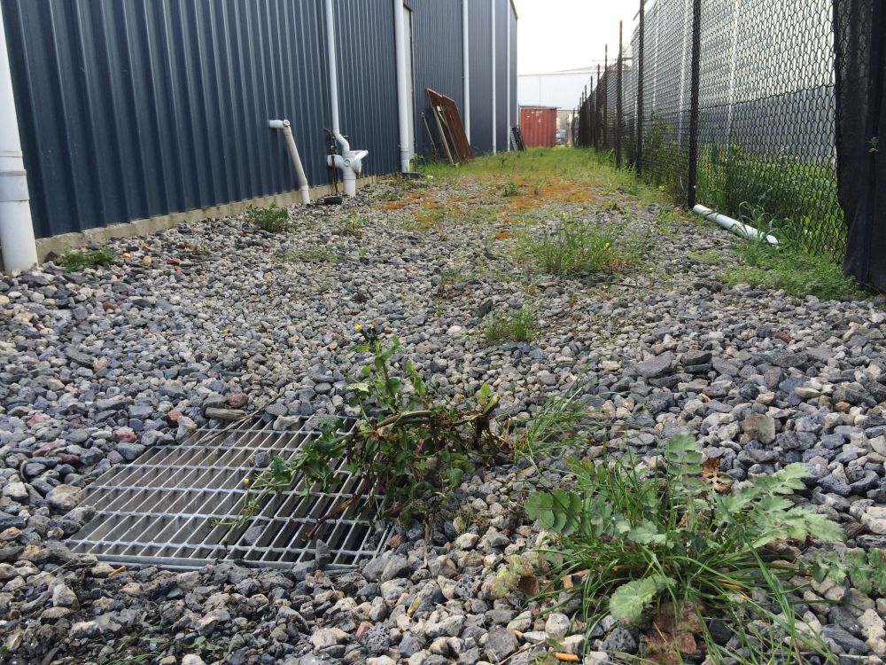 How to get rid of weeds in gravel areas