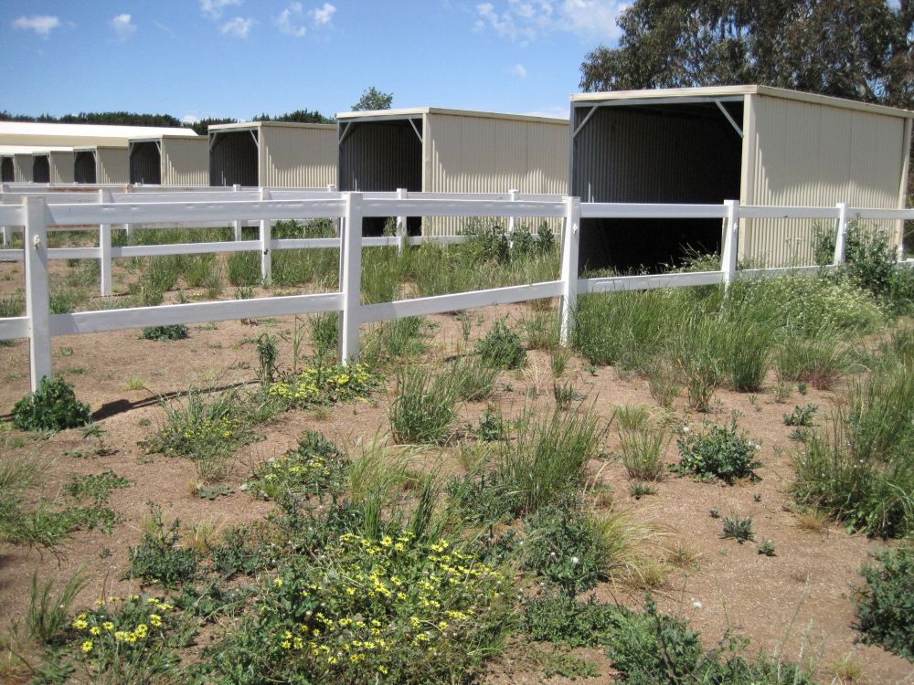 Banish weeds for up to 9 months ..find out how