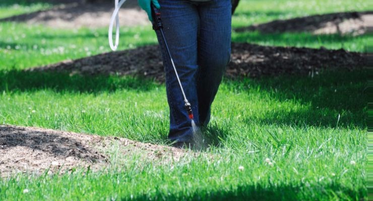 How to apply BroadSweep & Kamba M herbicides to lawns and turf