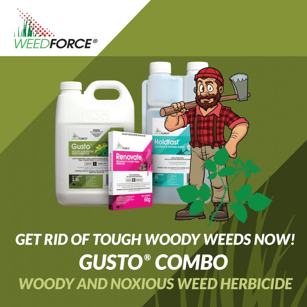 WOODY WEEDS OUT OF CONTROL ????